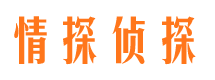 托里婚外情调查取证